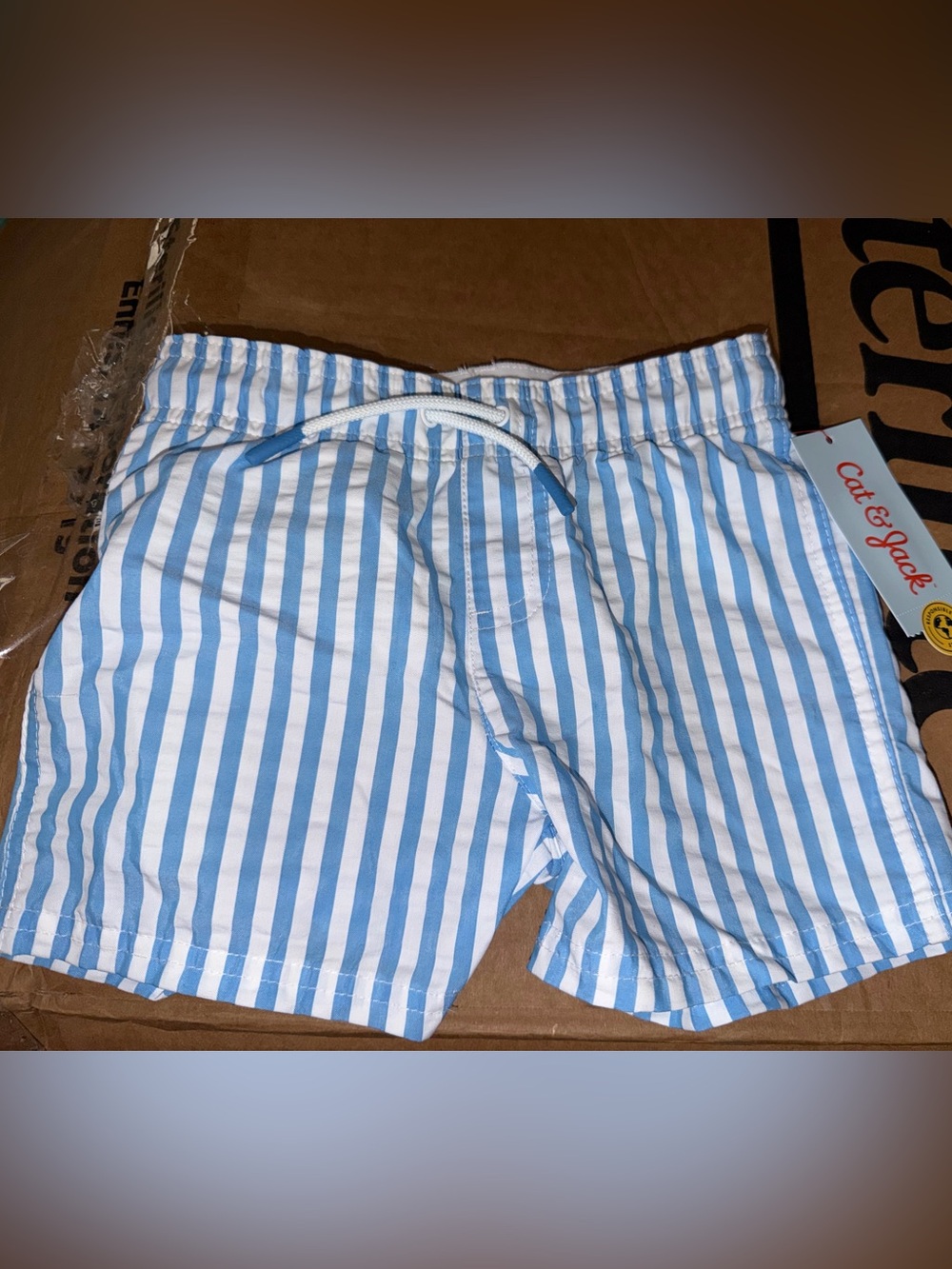Light Blue and White Striped Swim Shorts